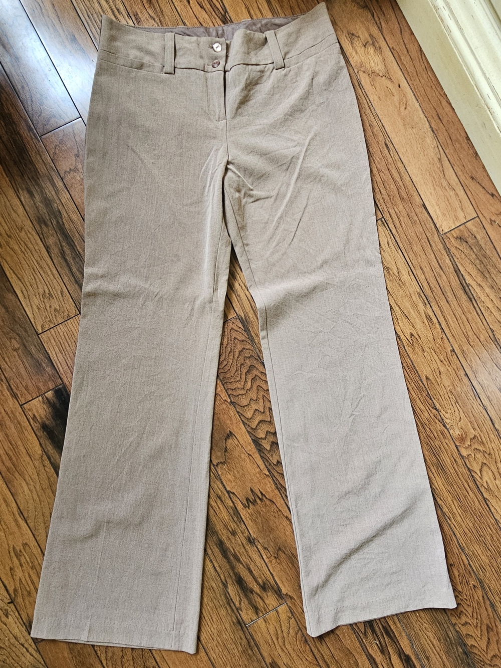 I.N. San Francisco Tan/Brown Pant